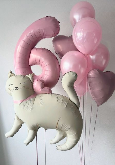 Helium balloons "Meow"